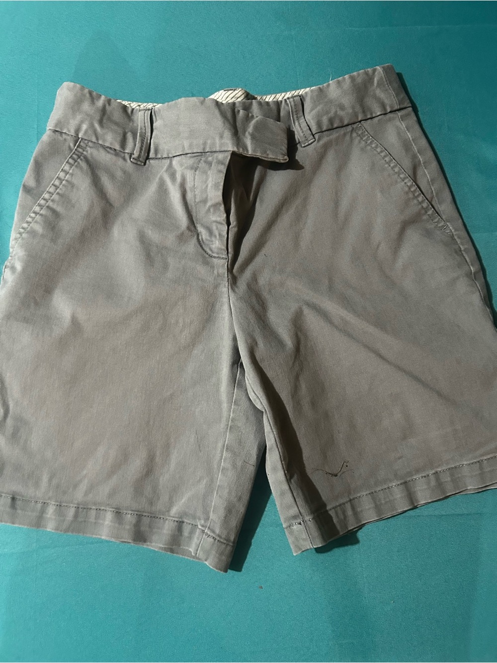 Loft  Cotton Chino Shorts - Gray